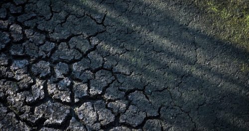Scorching summer will cost France €10B to €15B, environment minister estimates