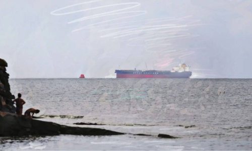 Shipowners pull back from CPC as export recovery falters