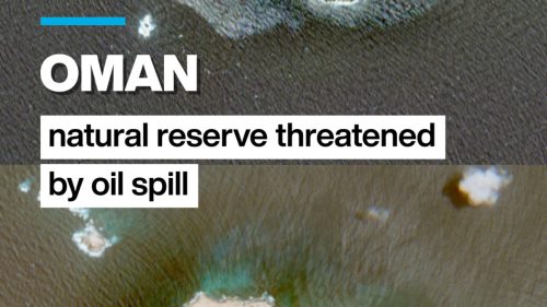 Oman nature reserve threatened by oil spill
