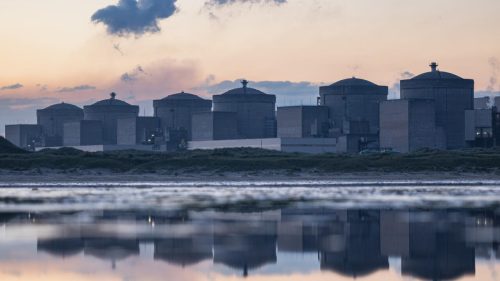 Jellyfish force shutdown of three reactors at France’s largest nuclear plant