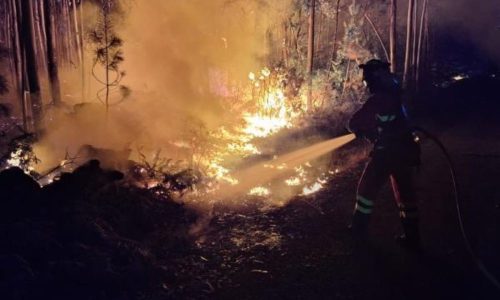EU support to help tackle major fires in Belgium and Spain