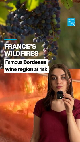 Winemakers across Europe face the challenges of climate change